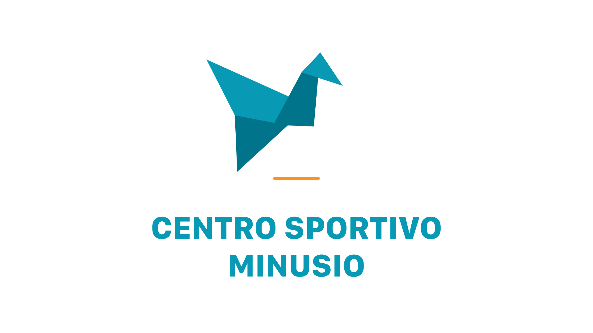 Logo Centro Sportivo Minusio cliente EcomRules